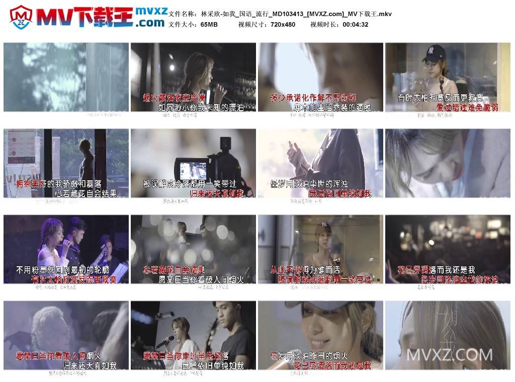 林采欣-如我_国语_流行_MD103413